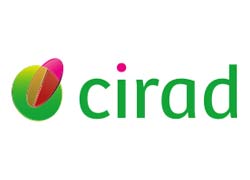 brand